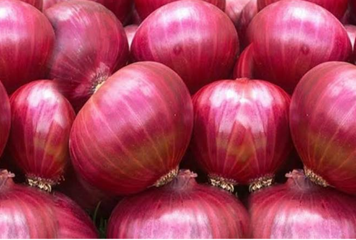 ONION BULBS(RED ONION) from Tanzania